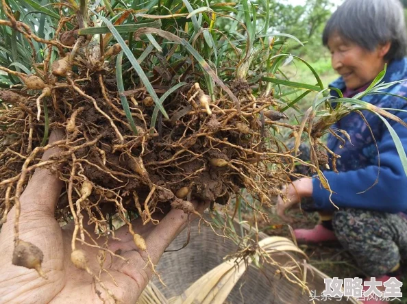 久操视频基地内容低俗传播不良信息已被举报